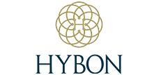 hybon client